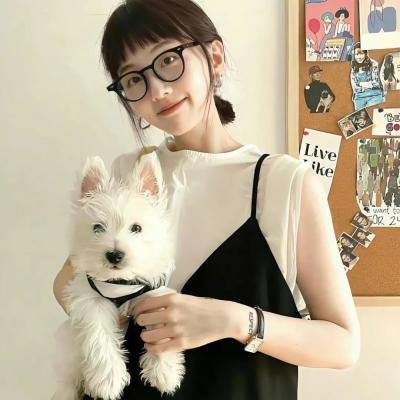 迷粉爱墙